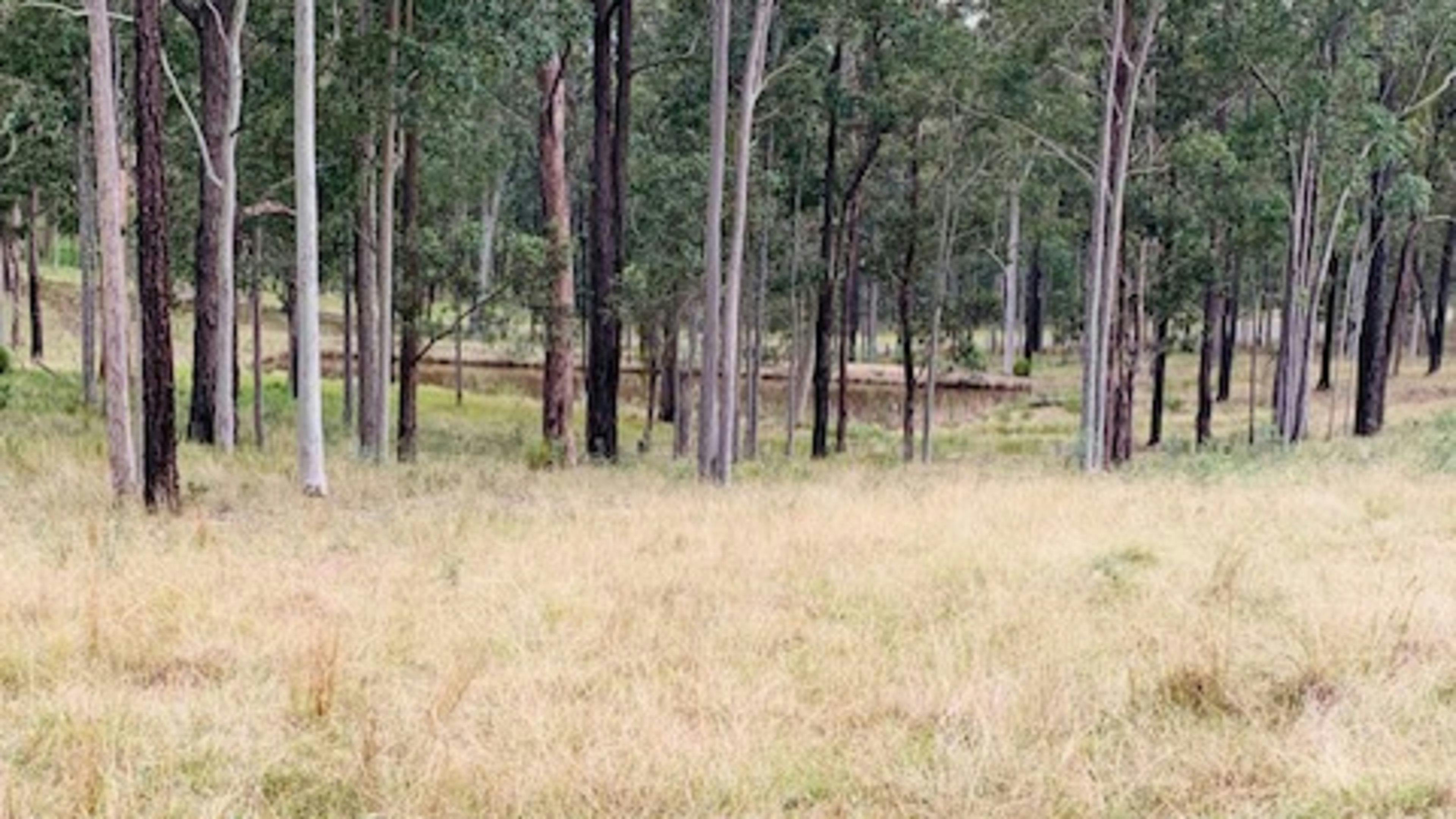 Greenridge Hunter Valley