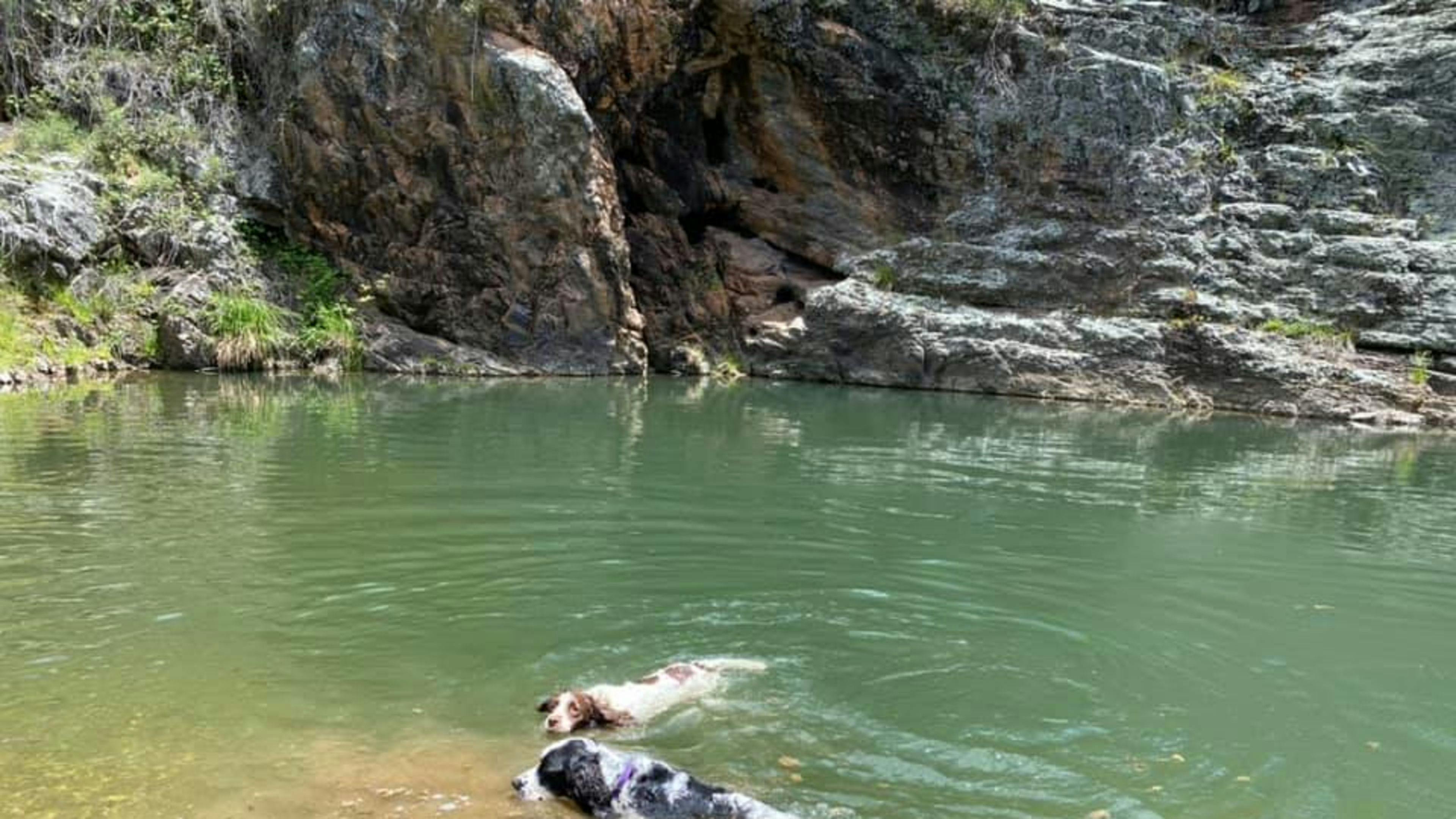 Farm Stay "Como Valley"@ Ben Bullen