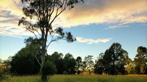 Gracemere Farmstead Camping