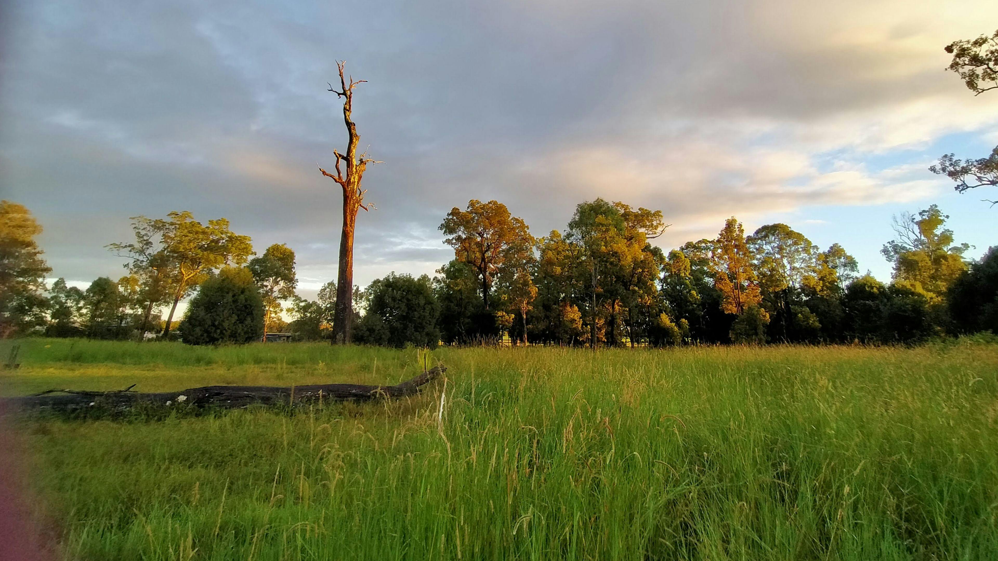 Gracemere Farmstead Camping