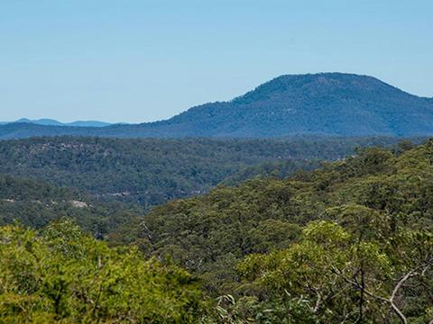 Finchley campground, Yengo National Park. Photo: John Spencer/NSW Government
