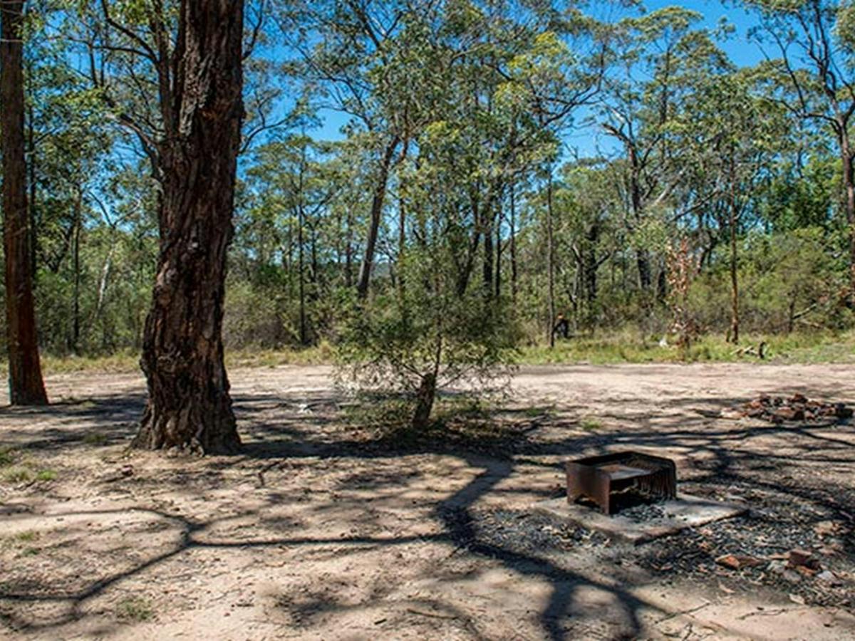 Finchley campground, Yengo National Park. Photo: John Spencer/NSW Government