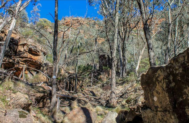 Eualdrie Walking Track