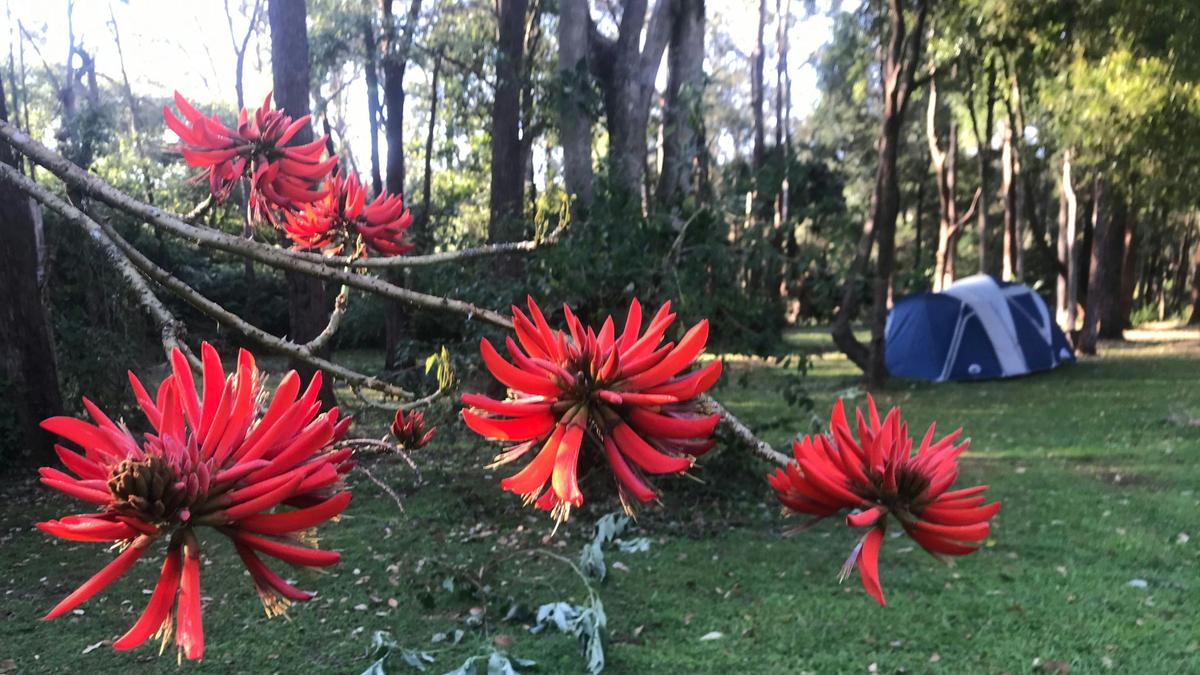 Gondwana Retreat