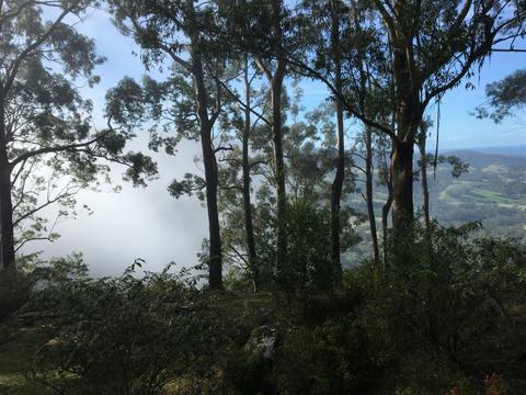Mist coming over the valley