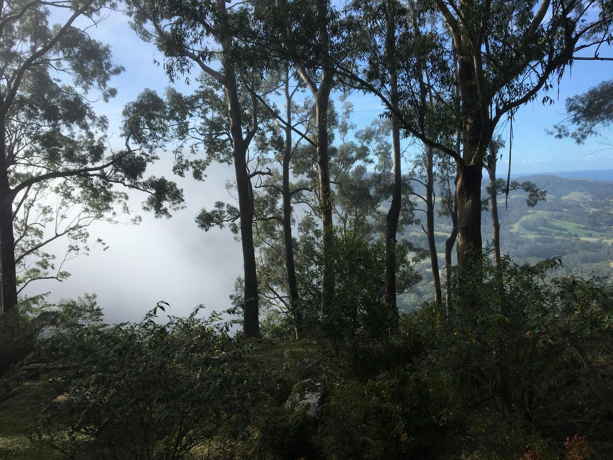 Mist coming over the valley