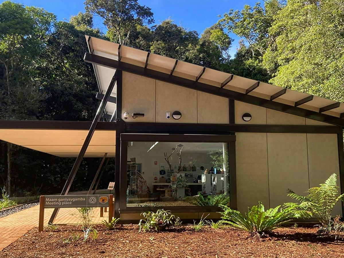 Dorrigo National Park