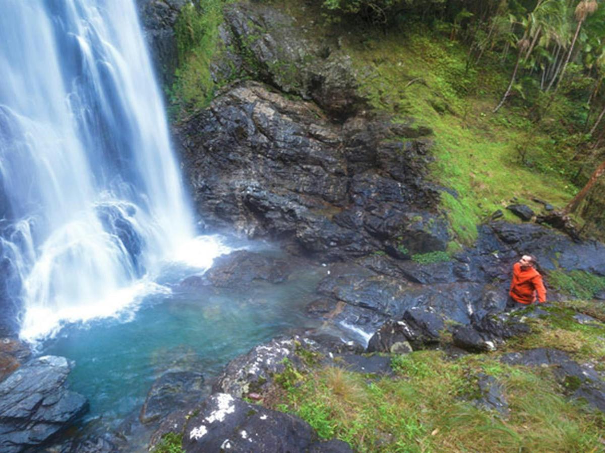Dorrigo National Park