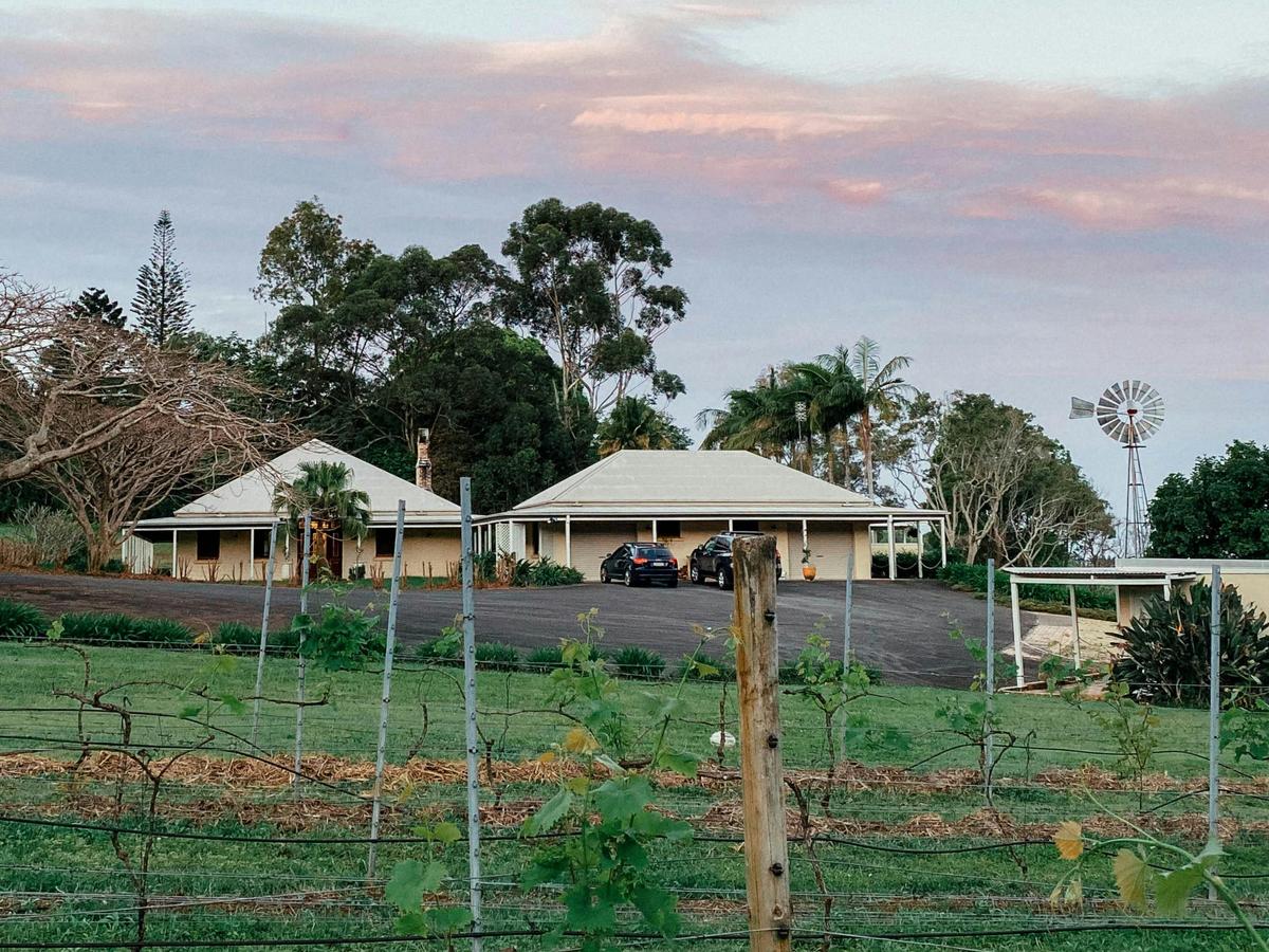 Vineyard