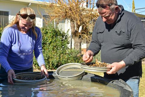 On Site Sapphire Fossiking at the Park