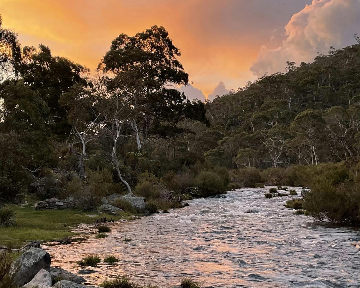 The Snowy River
