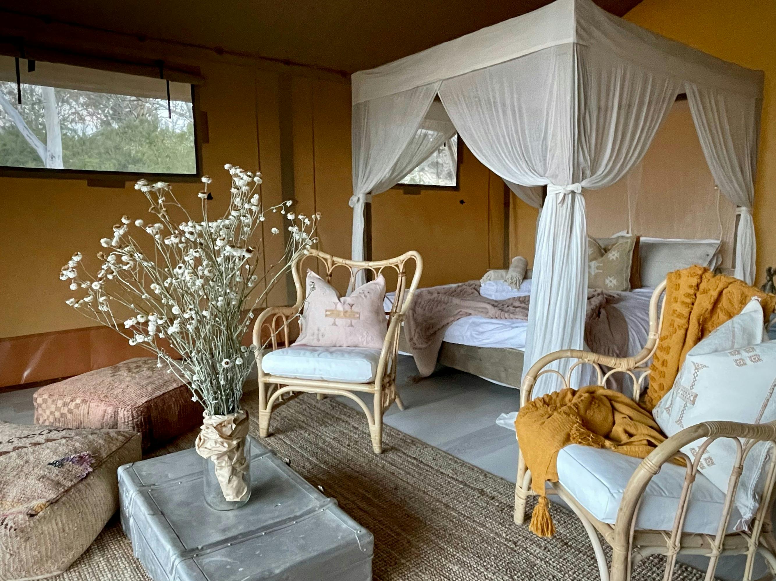 Mary Kingsley interior