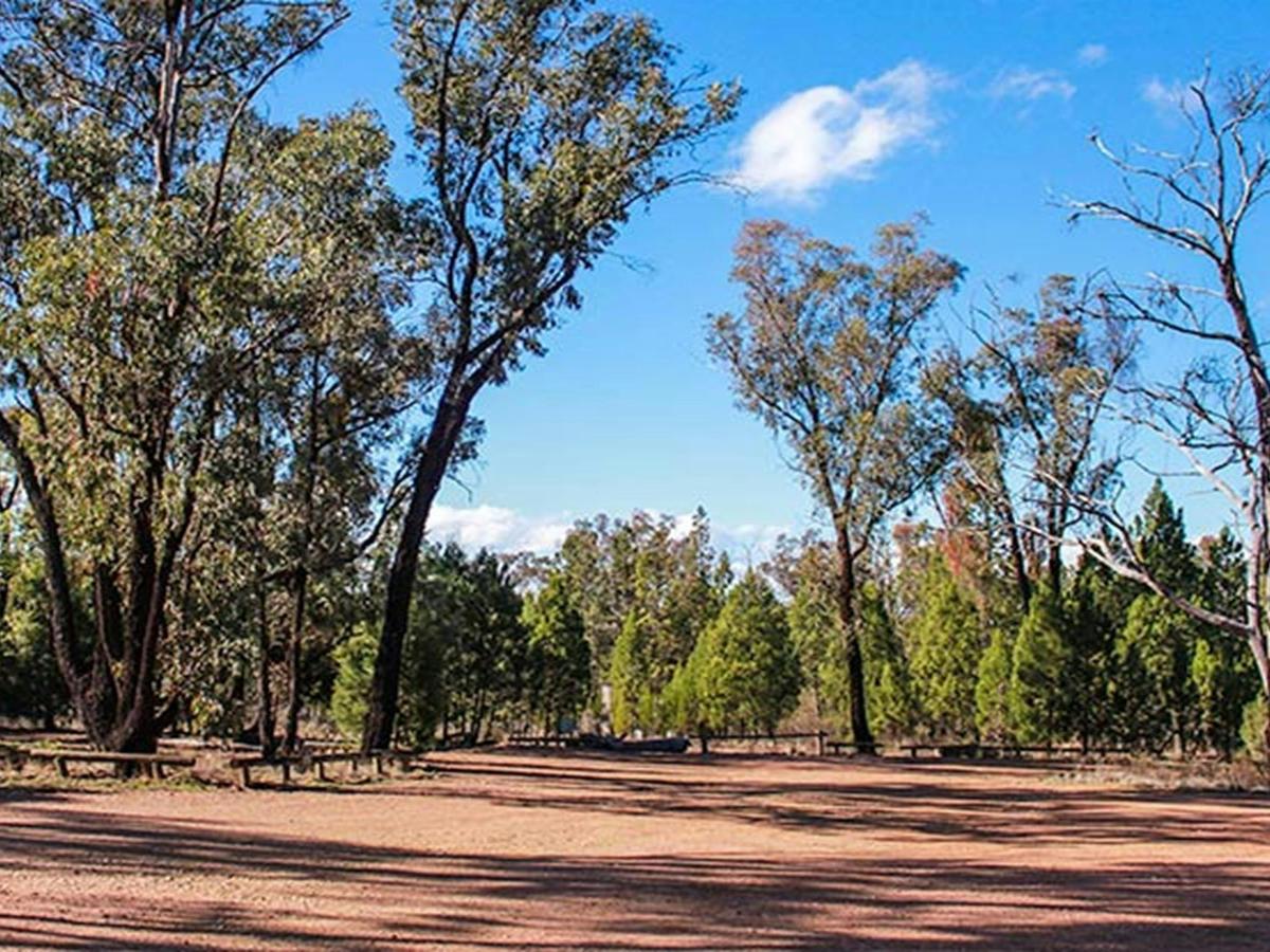 Holy Camp, Weddin Mountains National Park. Photo: C Davis/NSW Government