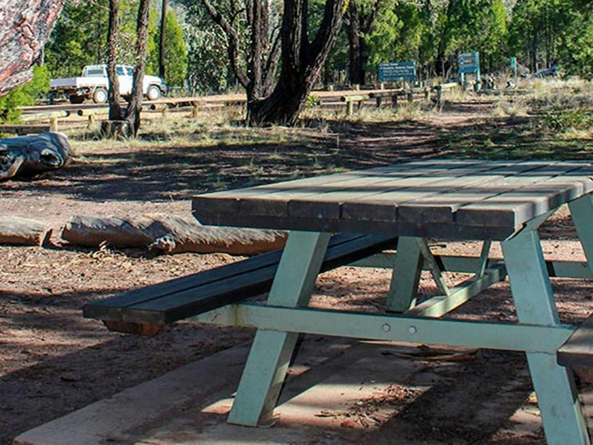 Holy Camp, Weddin Mountains National Park. Photo: C Davis/NSW Government