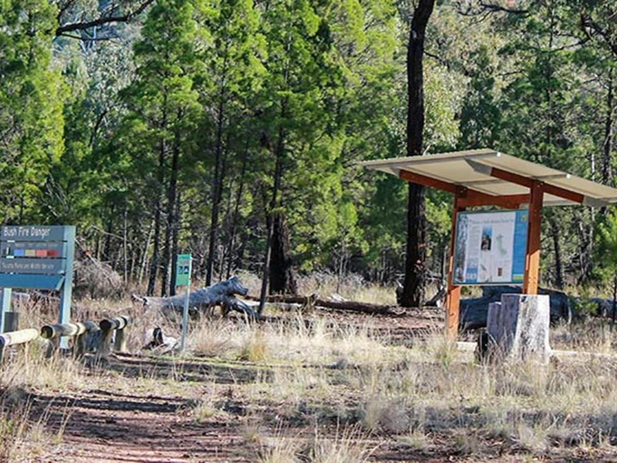 Holy Camp, Weddin Mountains National Park. Photo: C Davis/NSW Government