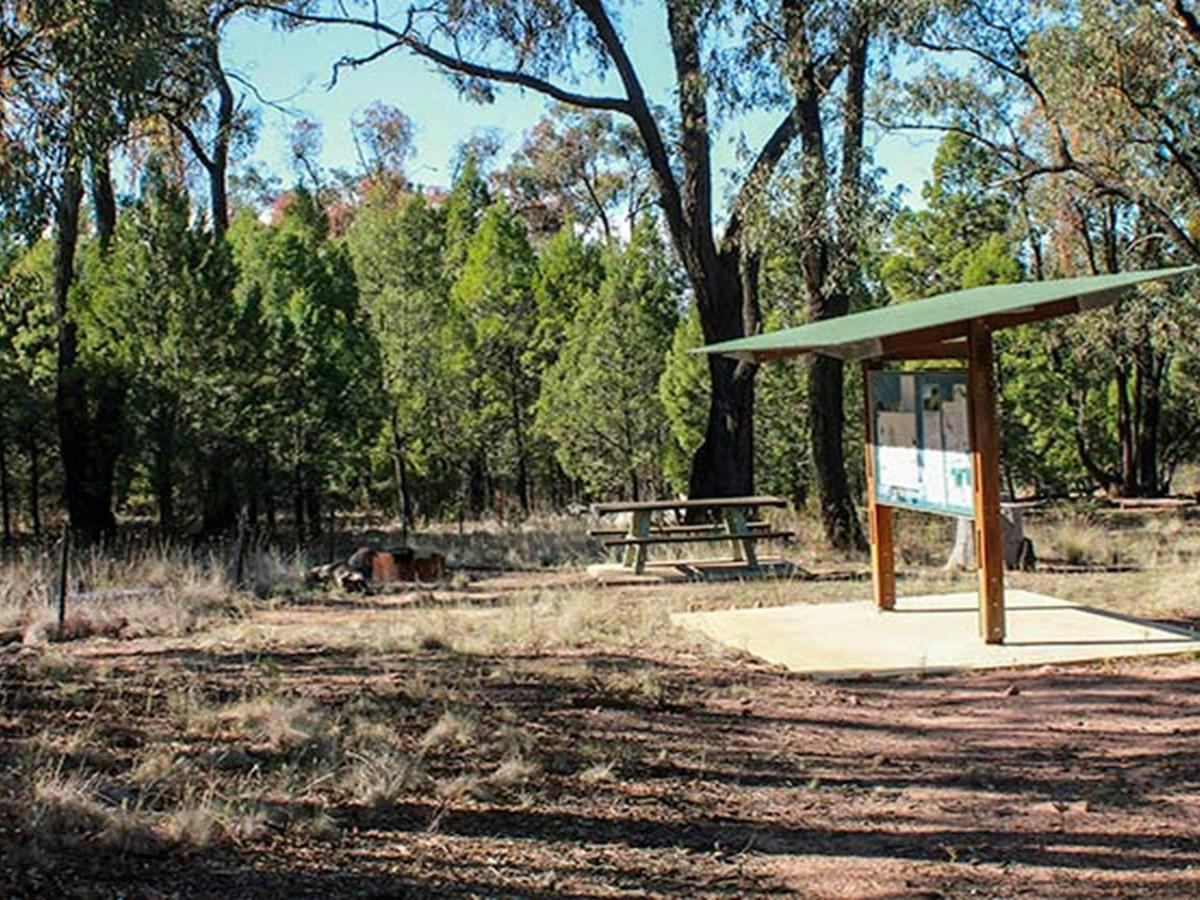 Holy Camp, Weddin Mountains National Park. Photo: C Davis/NSW Government
