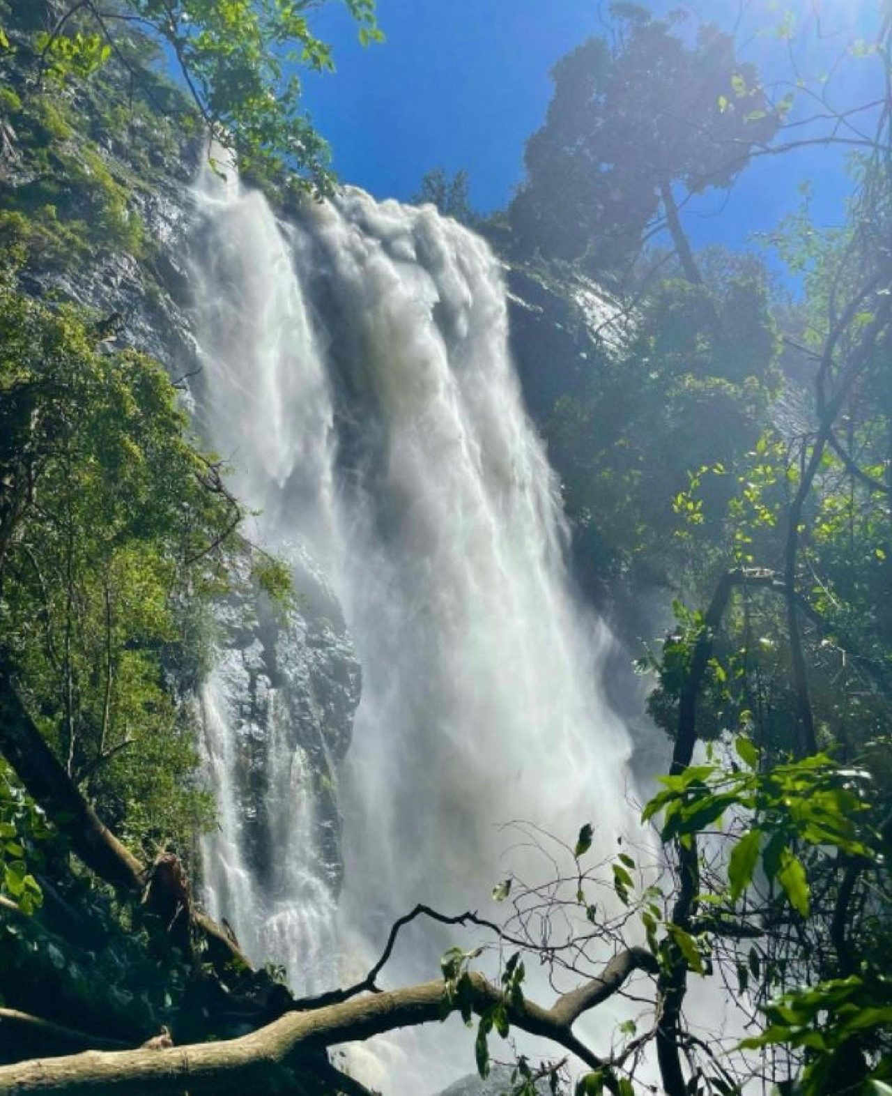 Falls