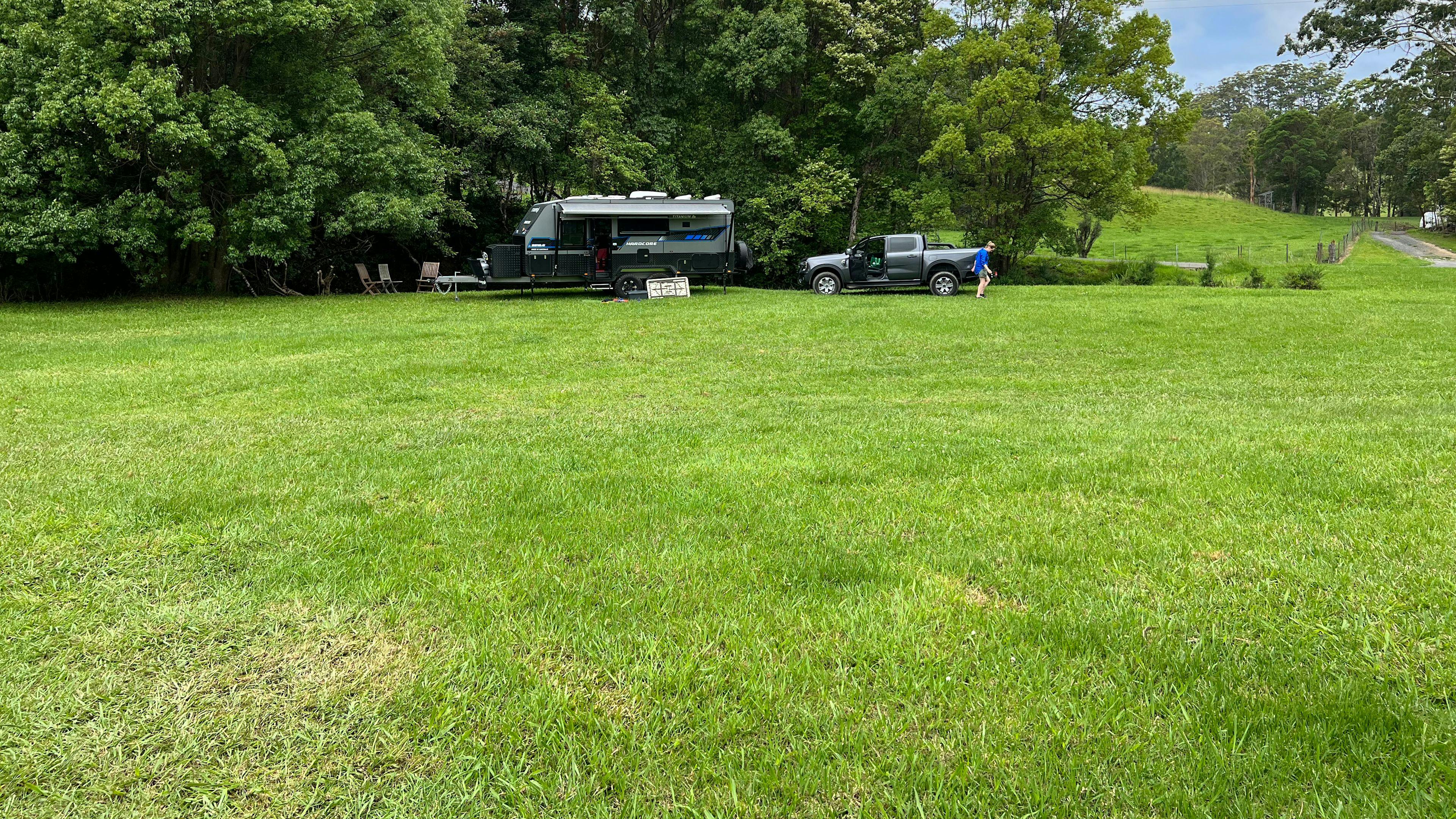 Looking toward Fridays Creek at the back of the paddock. 