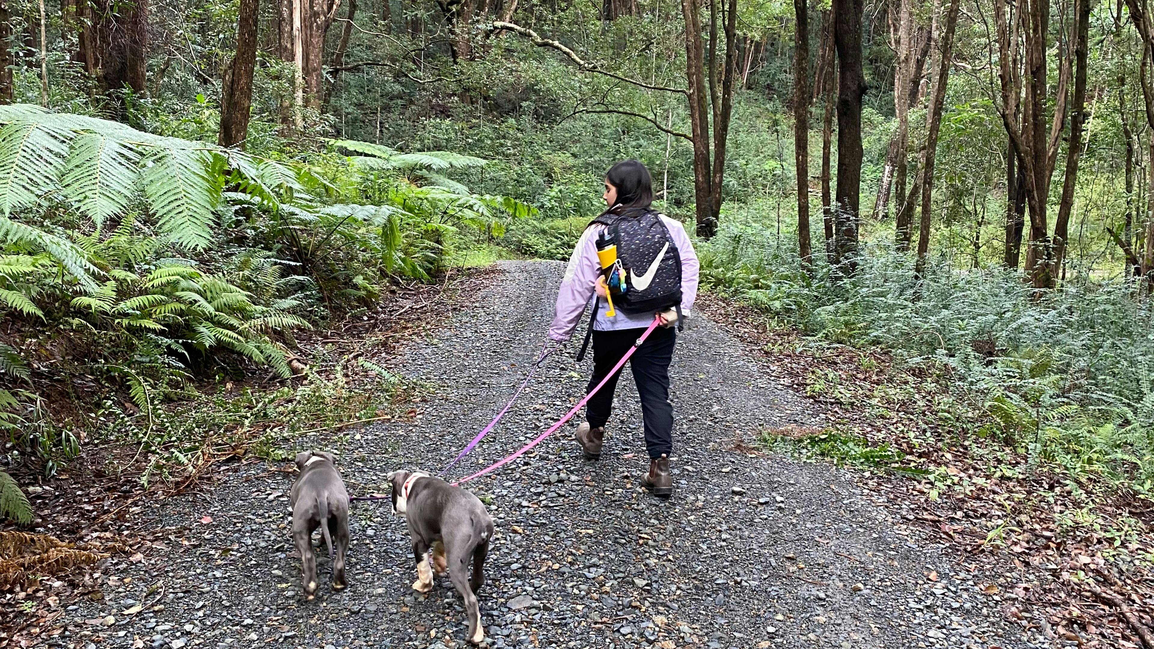 Driveway into property from main gate 