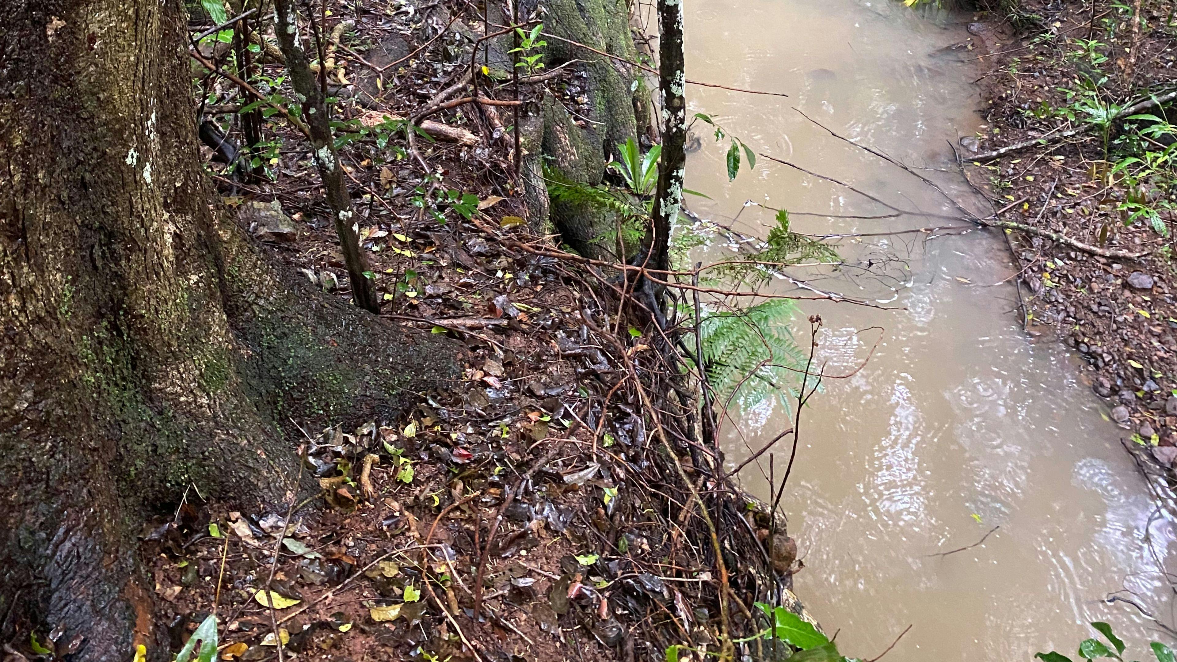 One of the 3 creeks you can walk to on the property. 