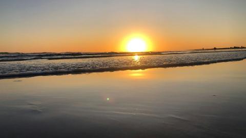 Iggys Haven @ Anna Bay