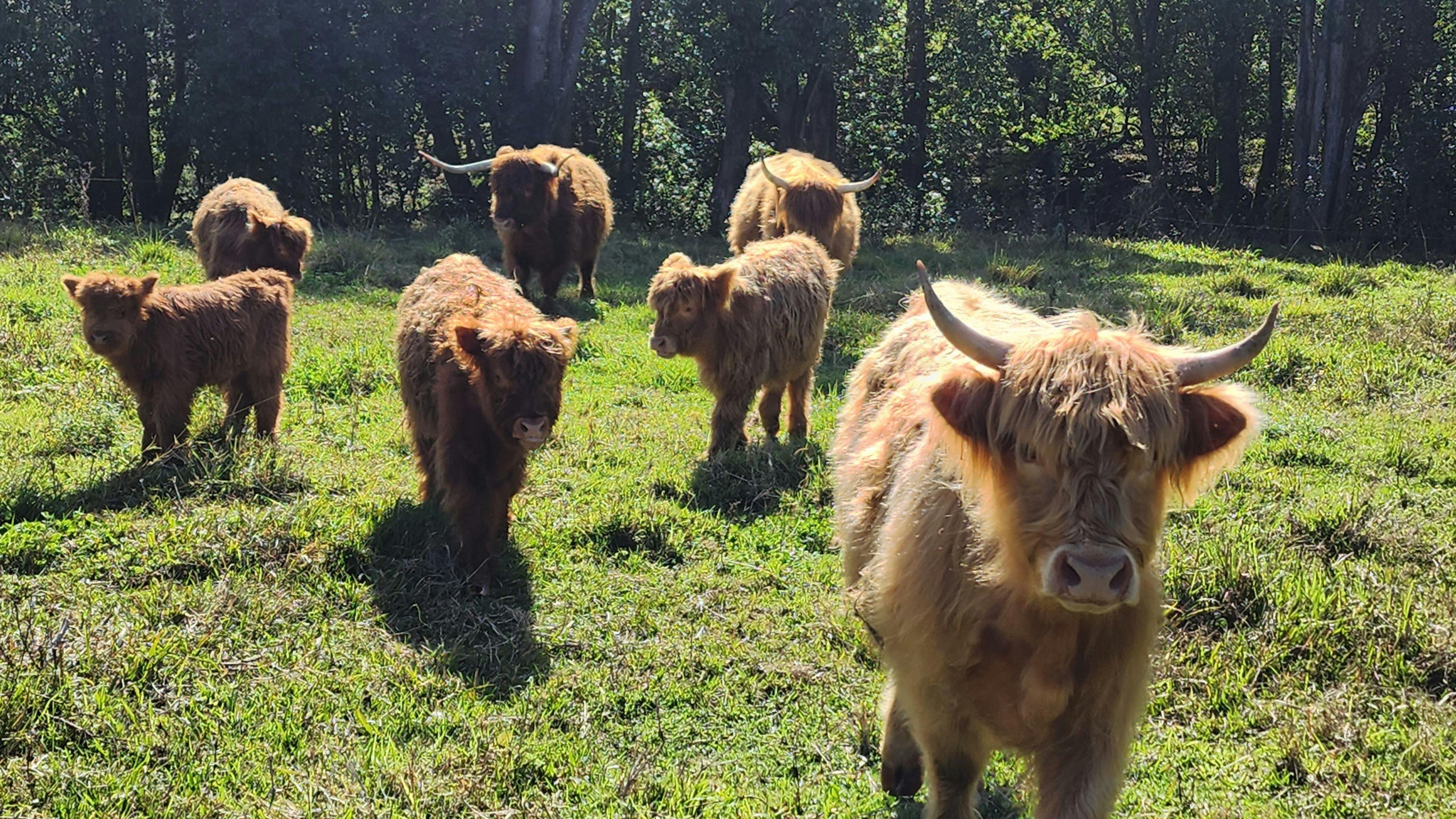 When they move out you can move in