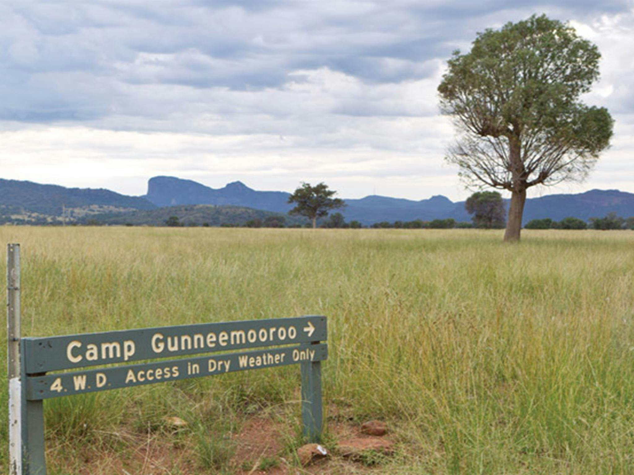 Gunneemooroo campground, Warrumbungle National Park. Photo: Rob Cleary/DPIE