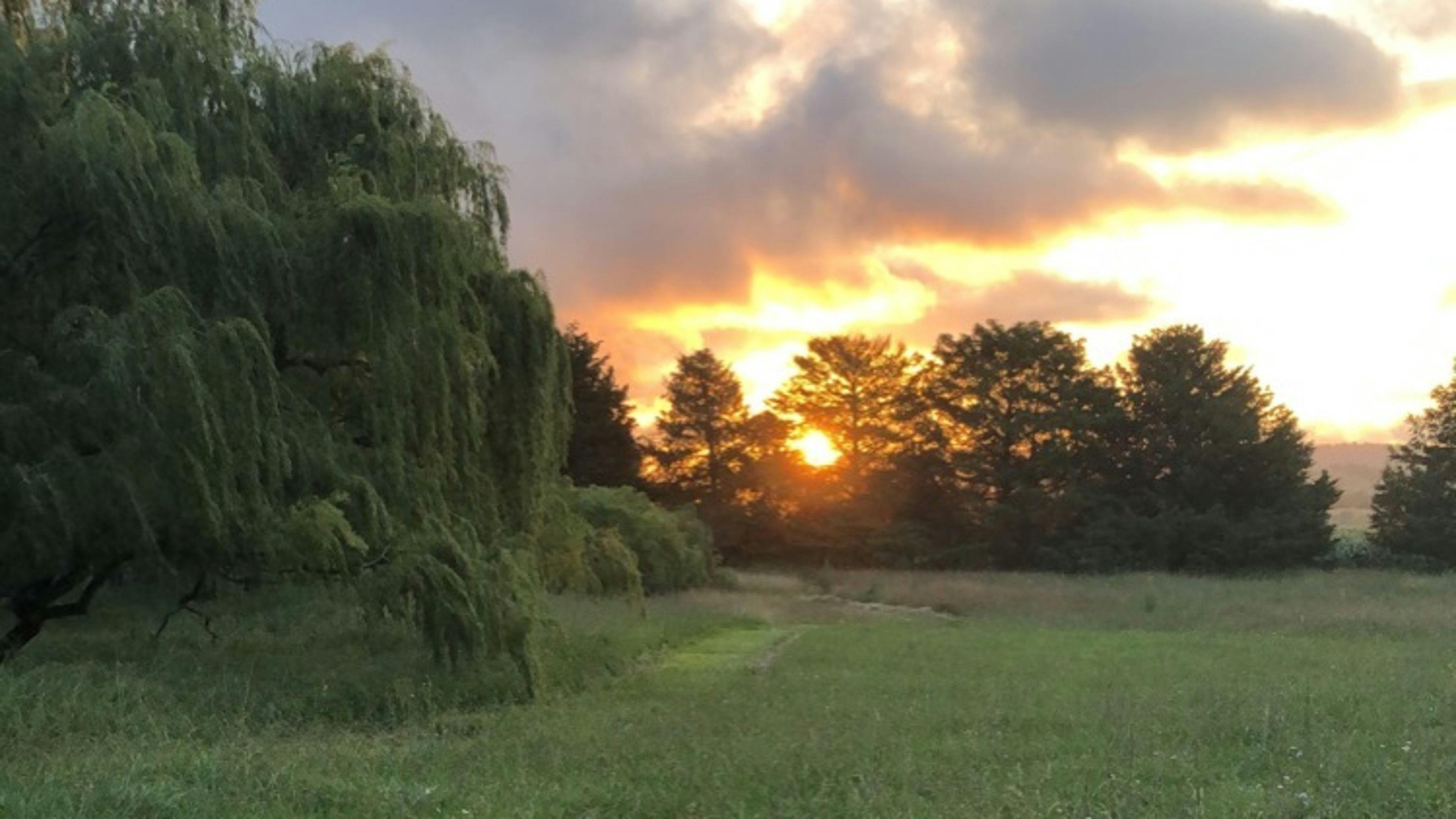 Willows dam at sunset