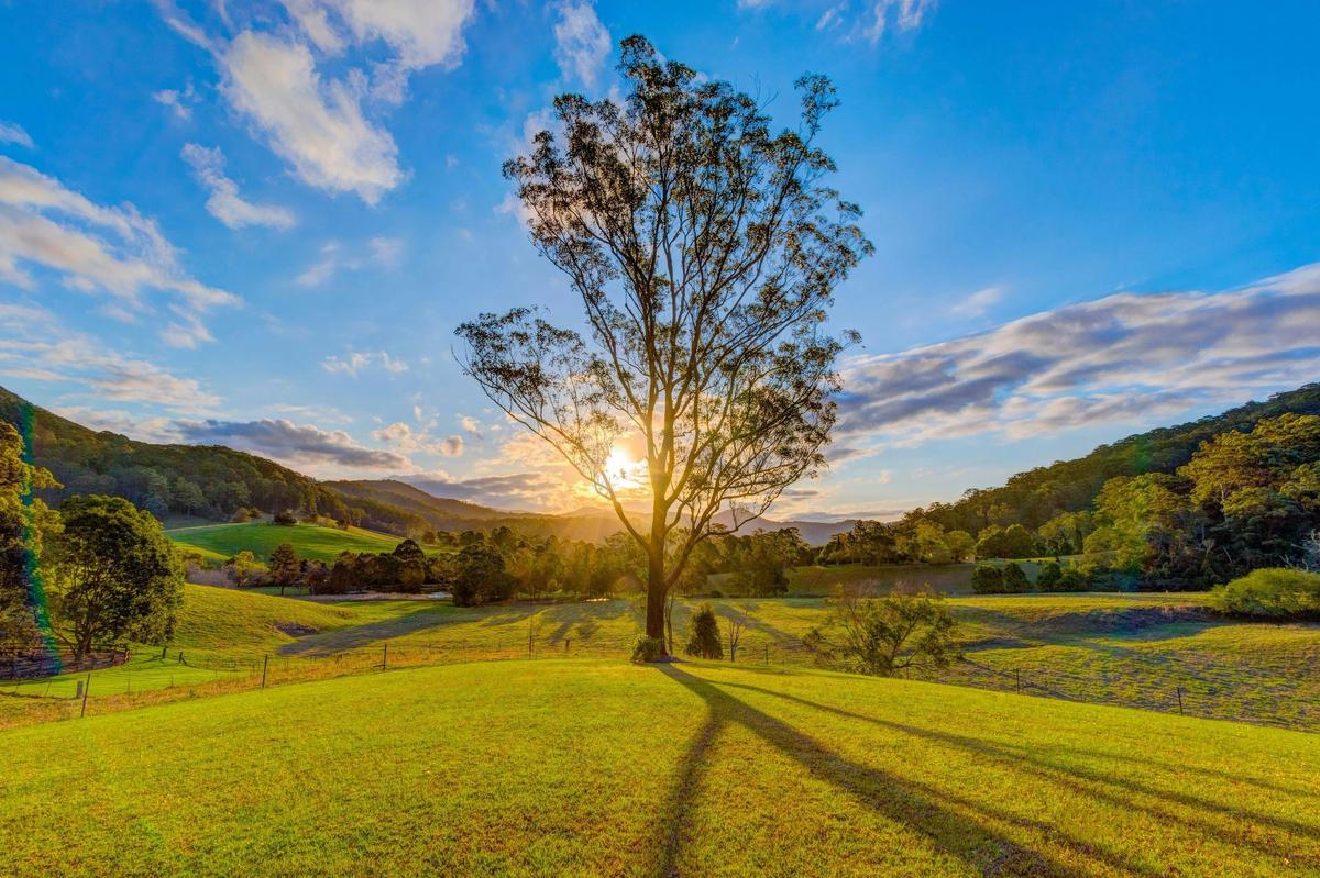 View from cottages