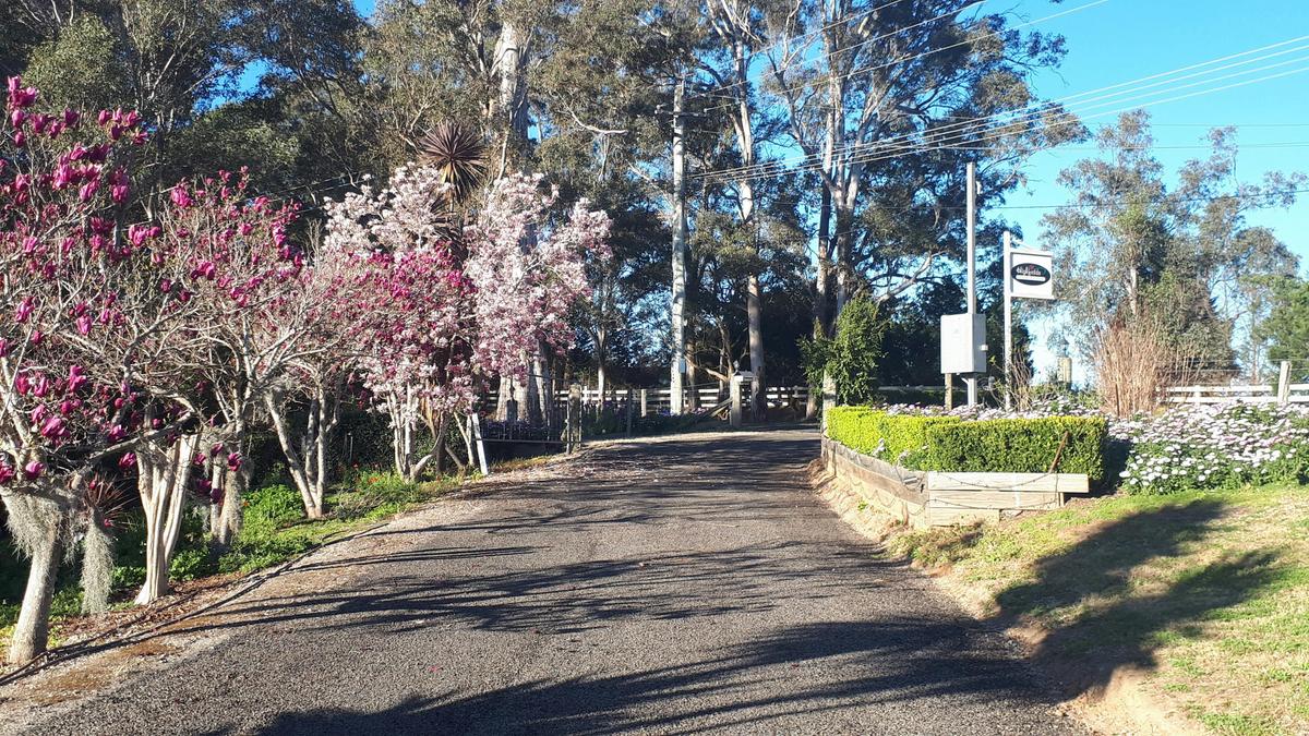 Magnolia gate entrance