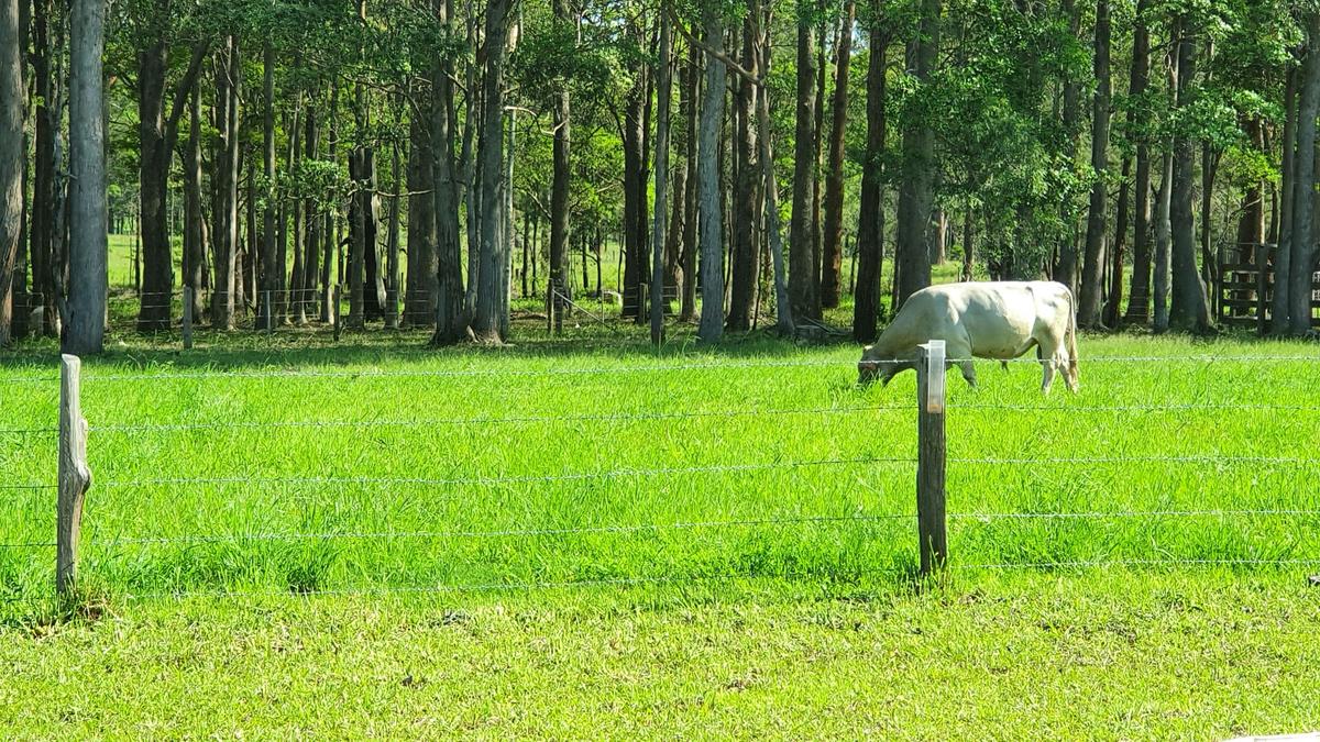 Glencliffe Lea