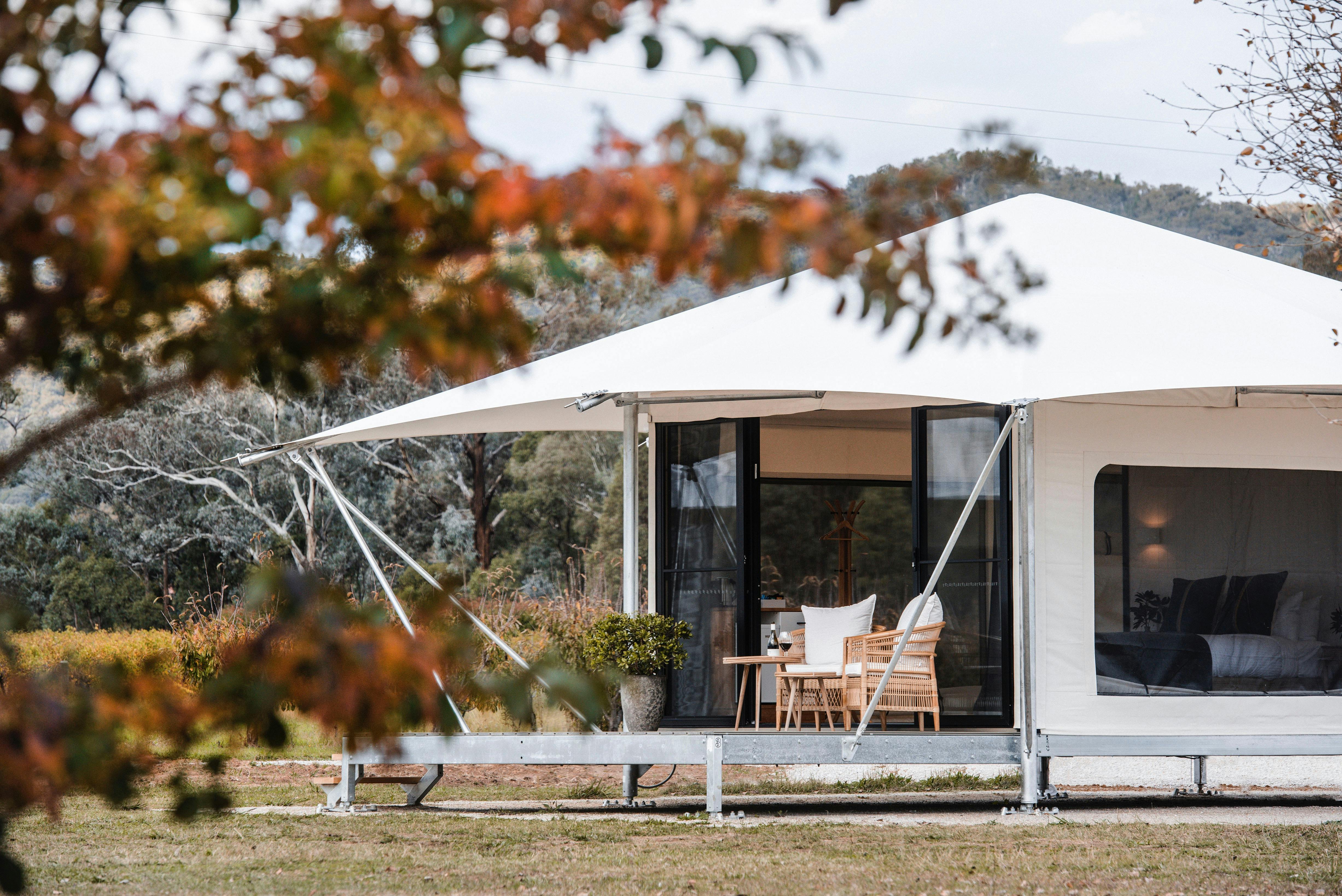 Glamping tent surrounded by greenery and vineyard