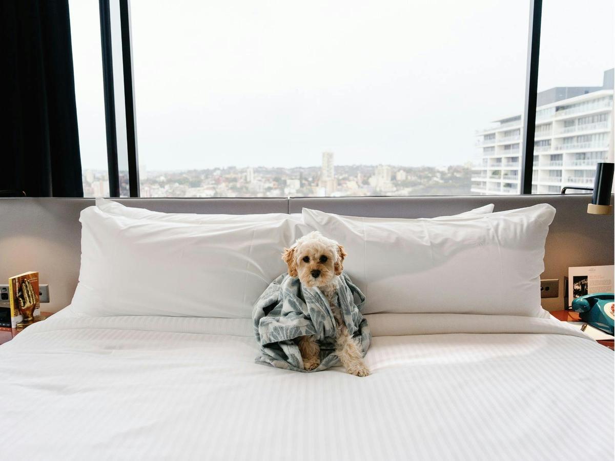 Pet Friendly
