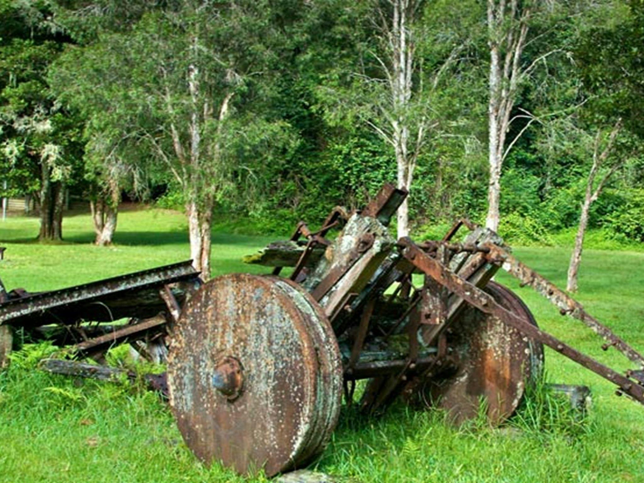 Gloucester River campground, Barrington Tops National Park. Photo: John Spencer/DPIE