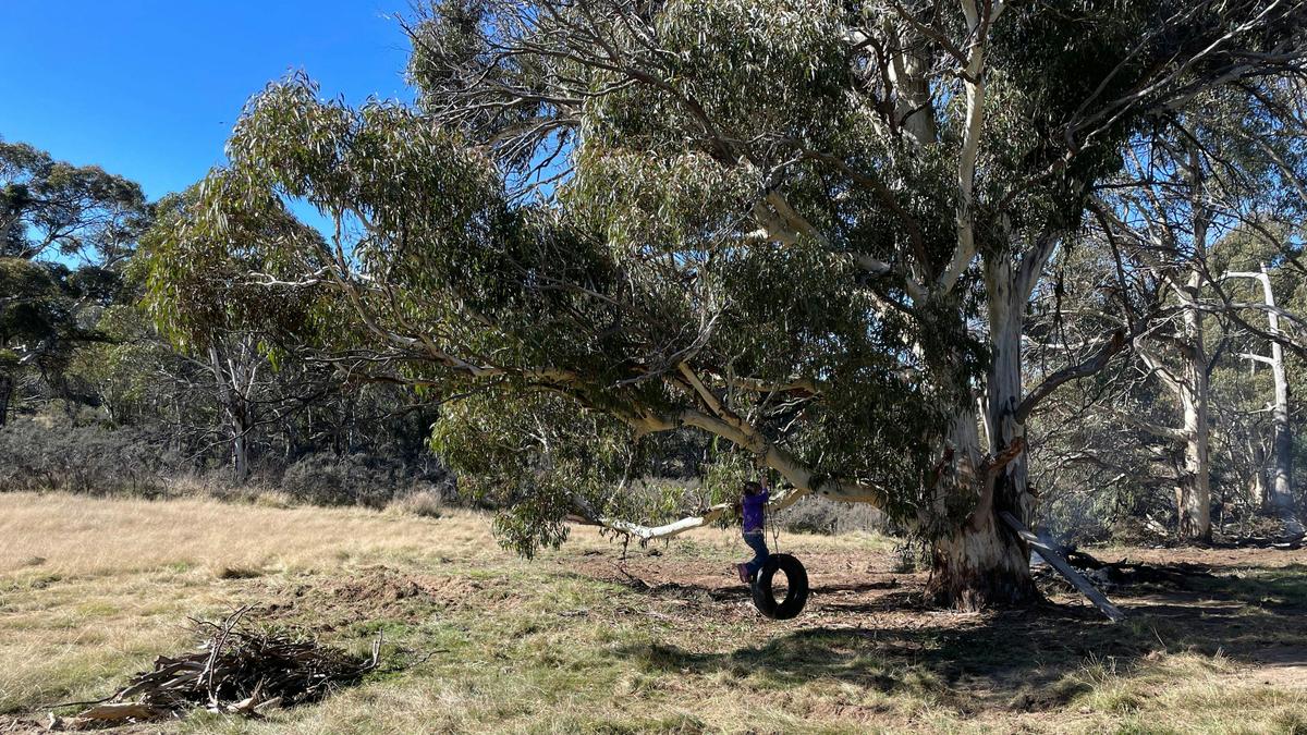 High Country Camping