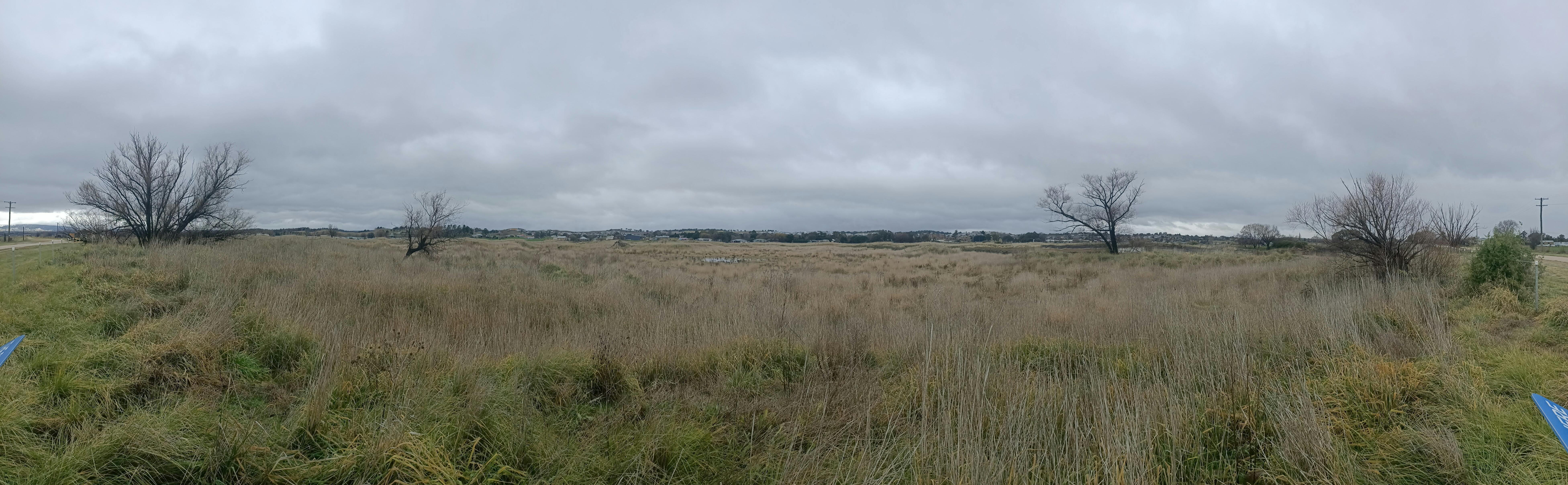 Panoramic view of Edgells Lane Wetlands