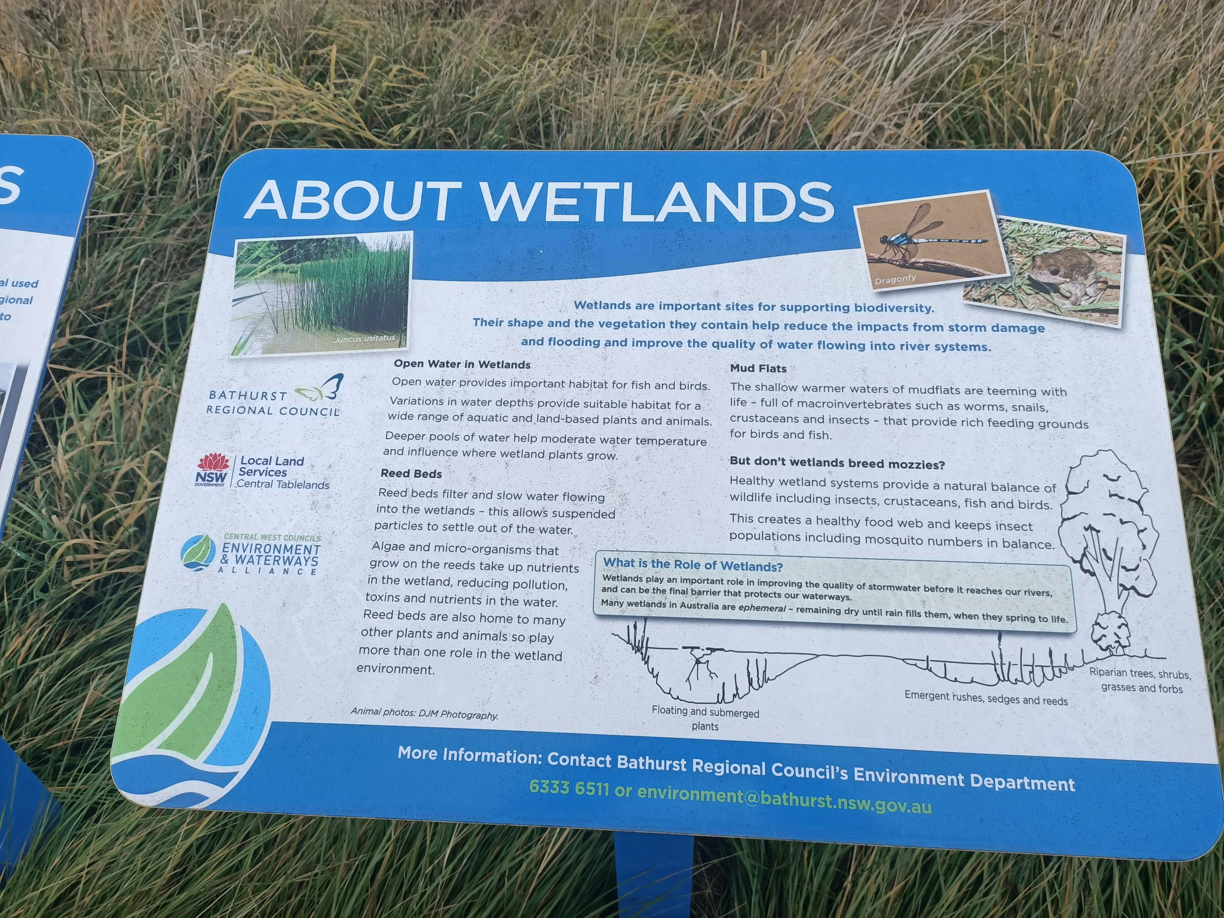 About the Wetlands Sign