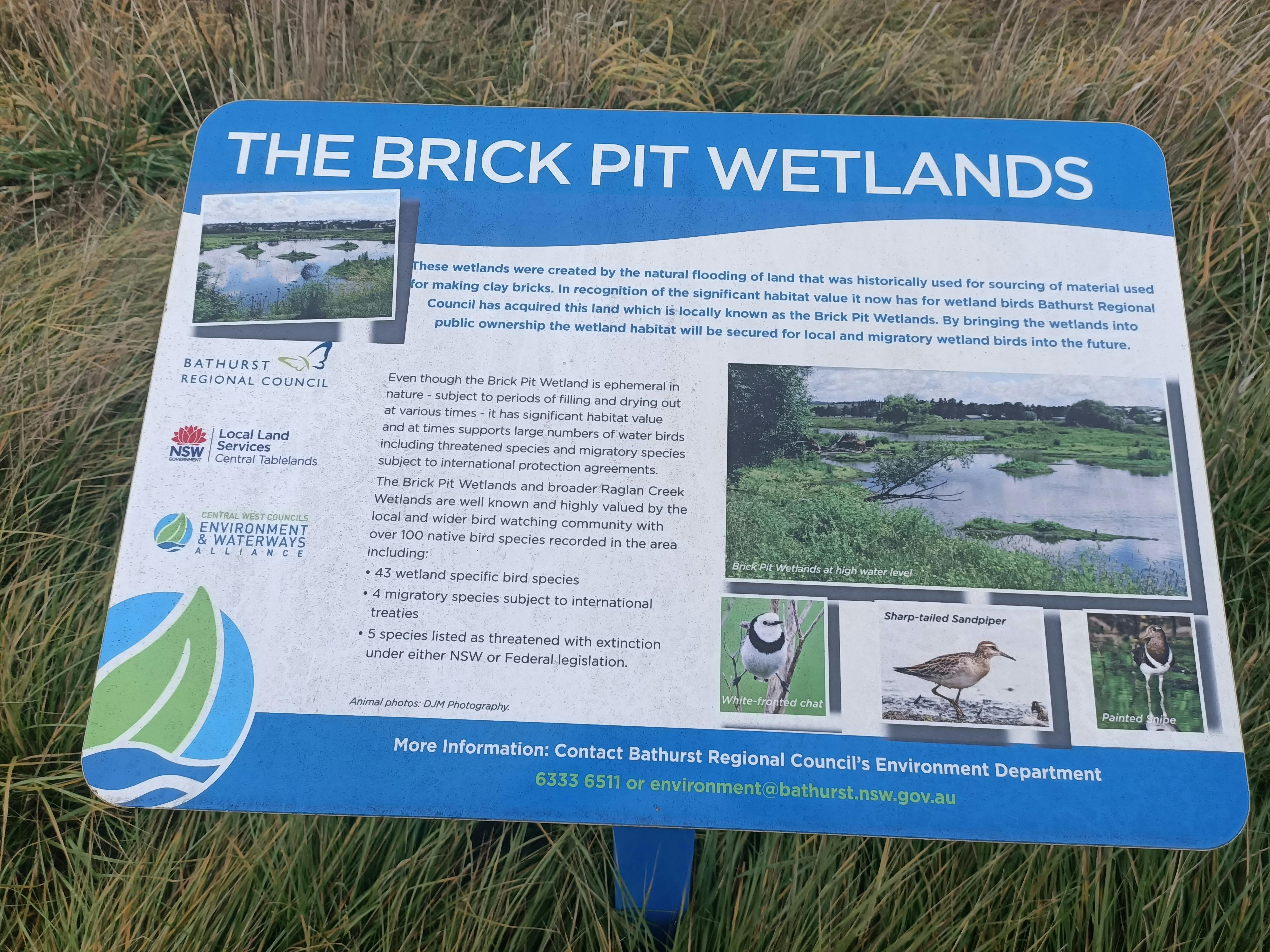 The Brisk Pit Wetlands Information