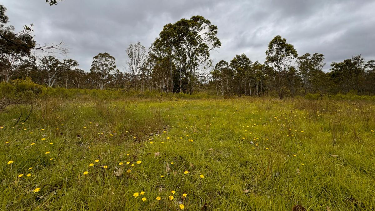 Gundungurra Rest