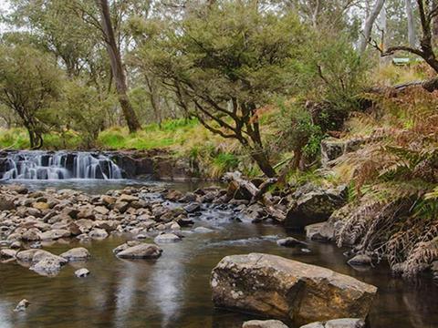 Gummi Falls campground