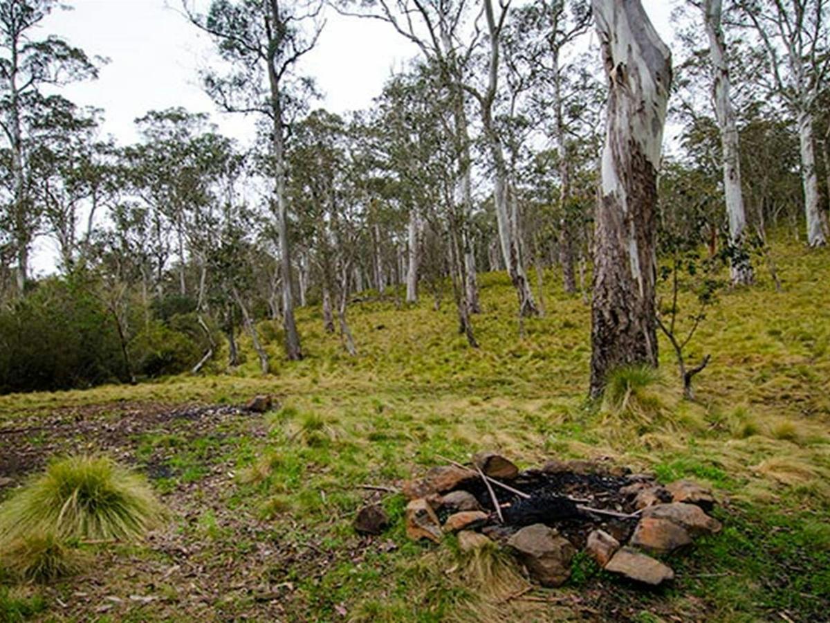 Gummi Falls campground, Barrington Tops State Conservation Area. Photo: John Spencer/NSW Government