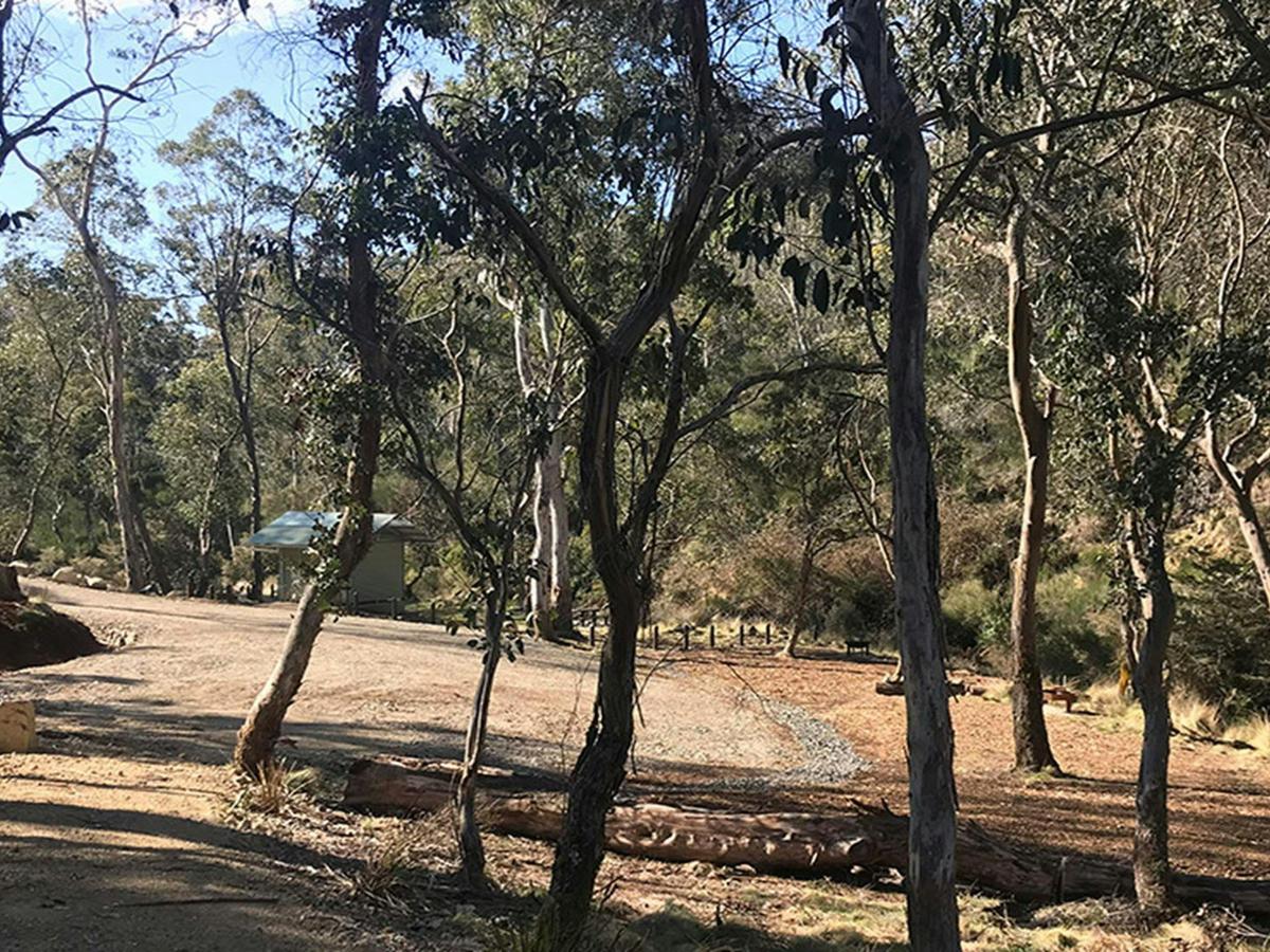 A gravel road surrounded by trees leading to Gummi Falls campground, Barrington Tops State
