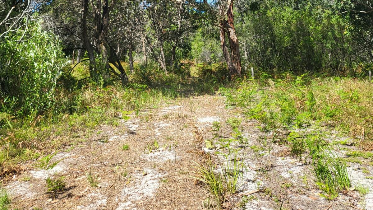 Start the 4WD adventure through bush tracks to the bush camp.
