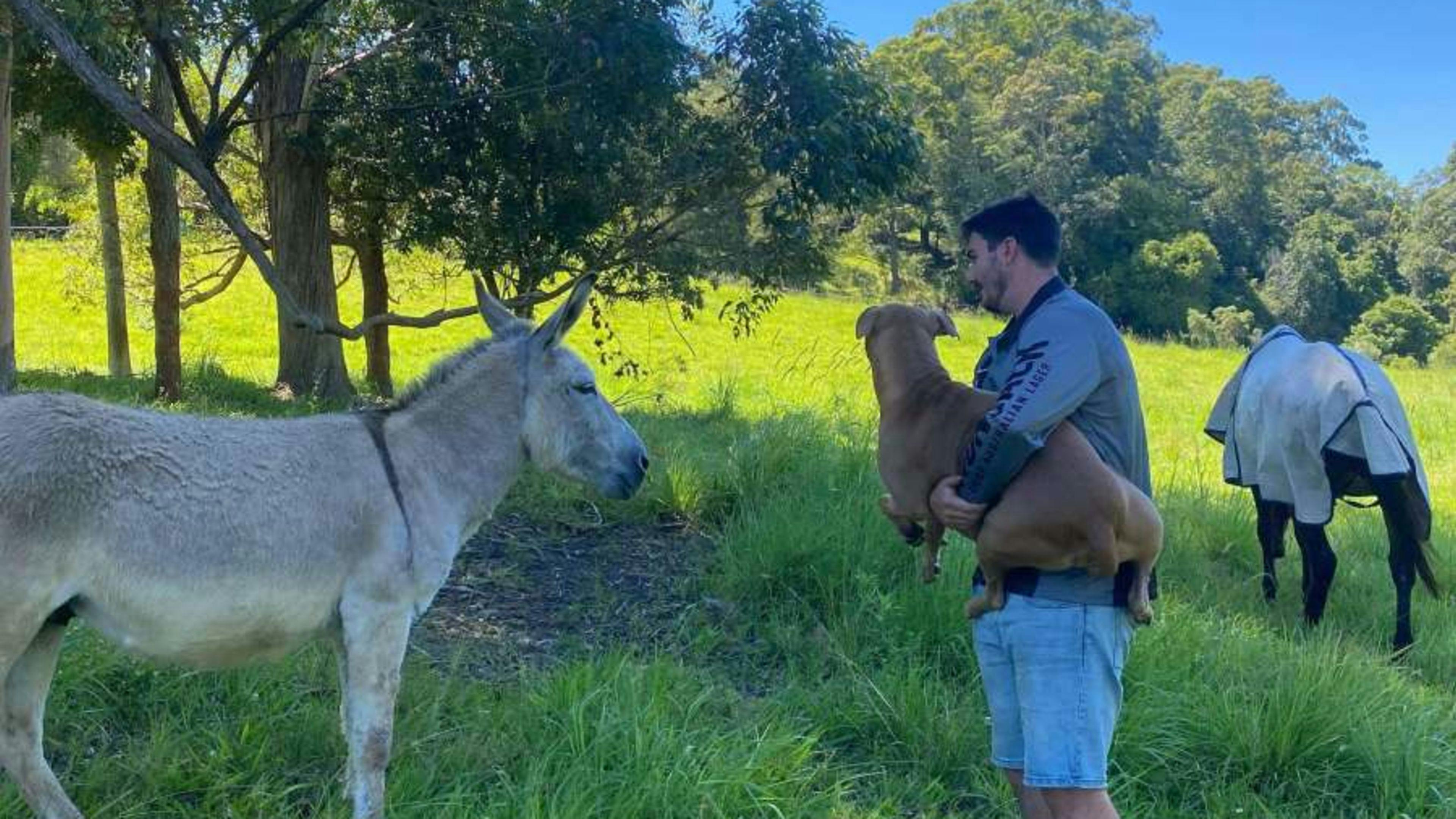 Green Paddock Close to Coffs