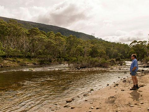 Island Bend campground, Kosciuszko National Park. Photo: John Spencer/OEH