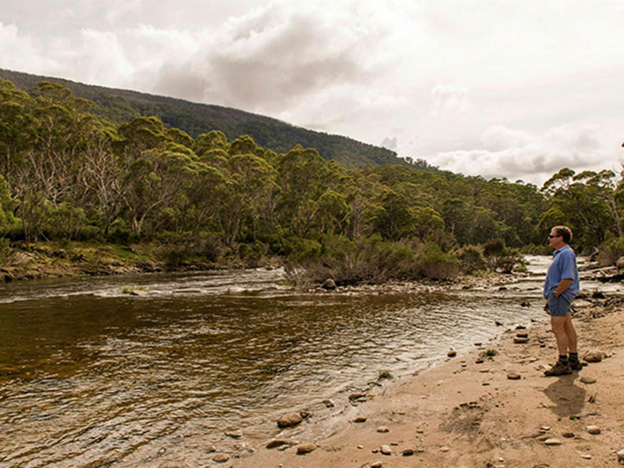Island Bend campground, Kosciuszko National Park. Photo: John Spencer/OEH