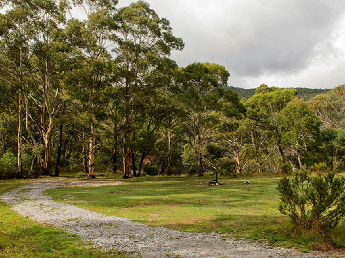 Island Bend campground, Kosciuszko National Park. Photo: John Spencer/DPIE