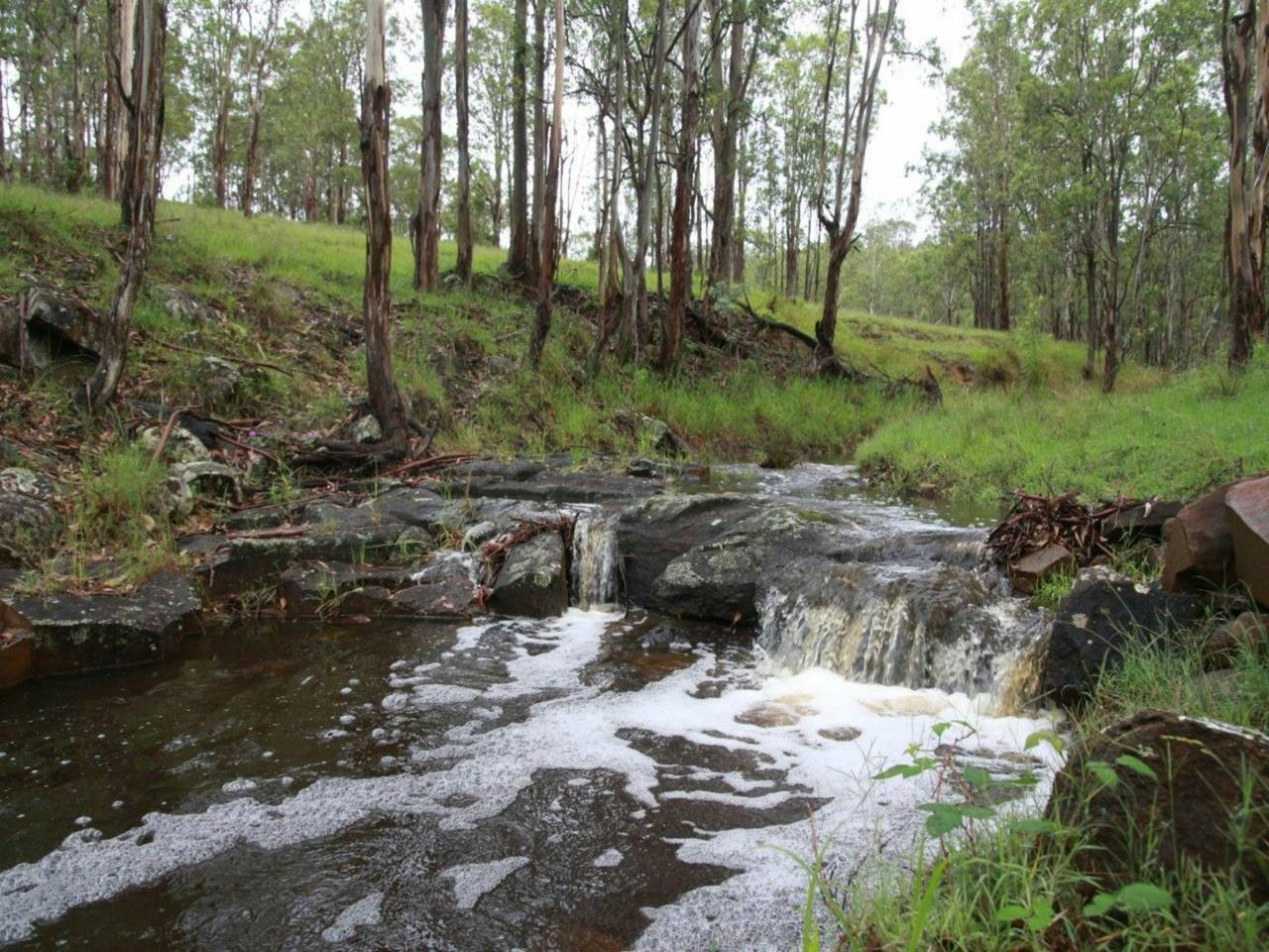 Dungog Common Creek