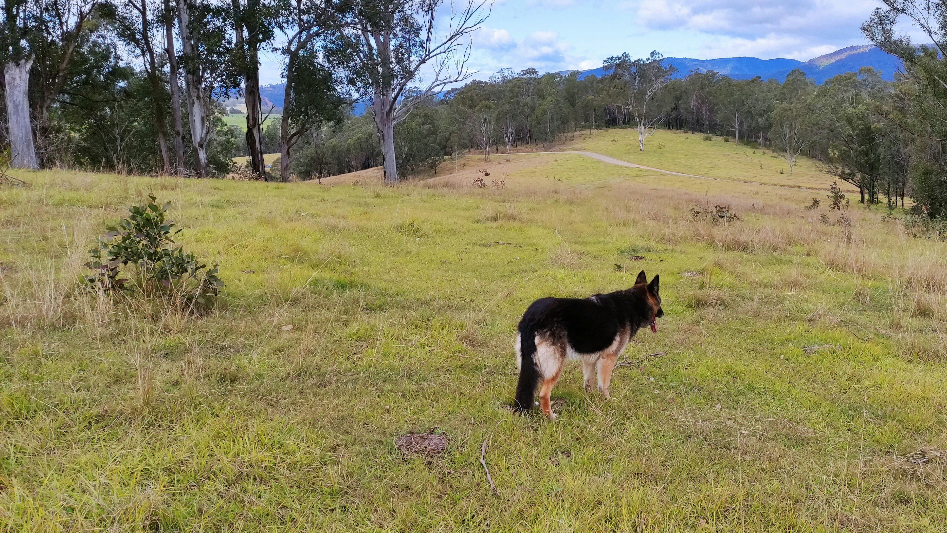 Pets are welcome as long as kept under control. Please respect that this is a working cattle property.