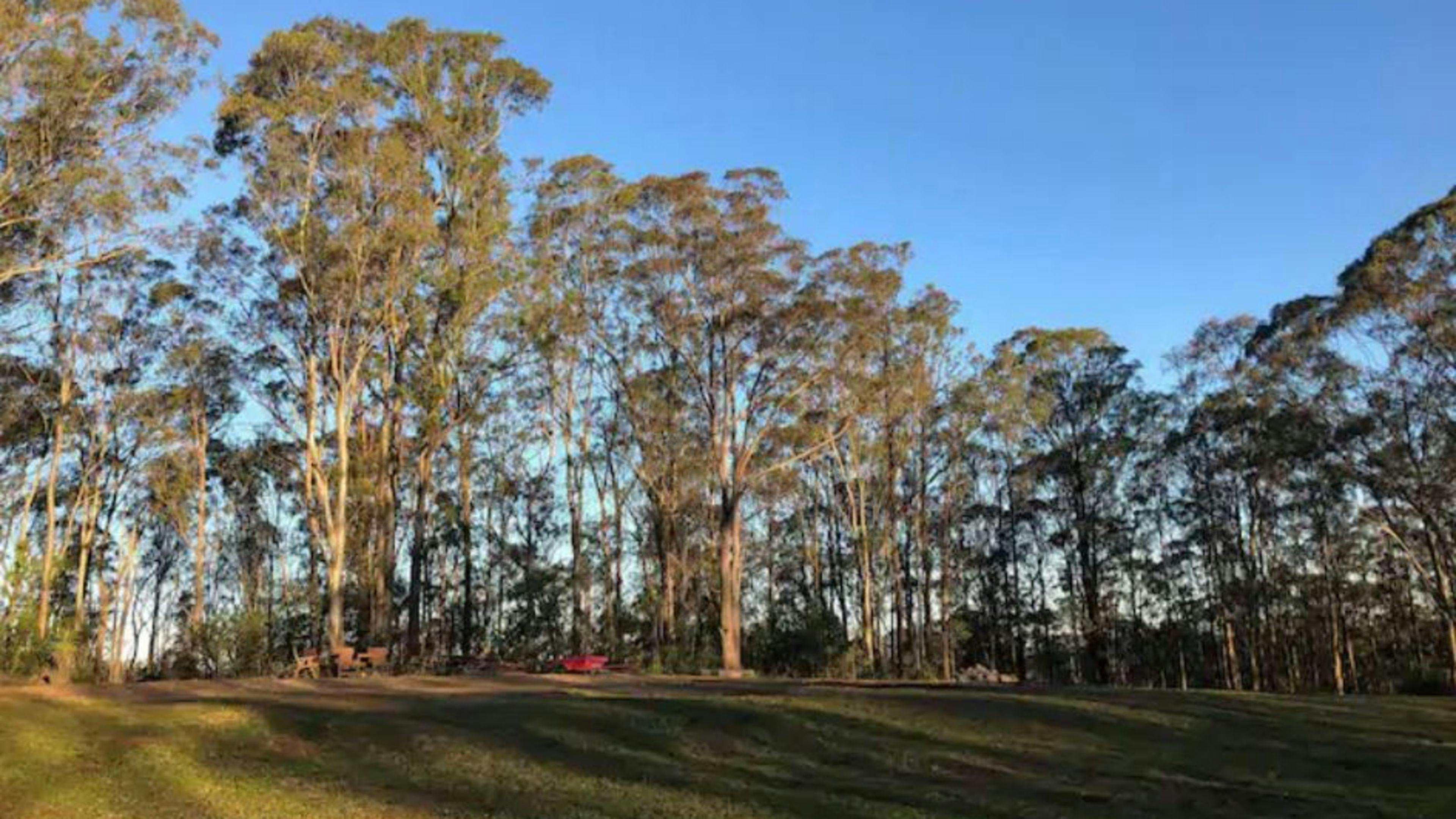 Hakuna Matata Resort, Booral